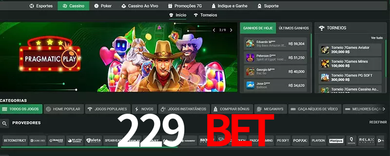 cassino 229 bet